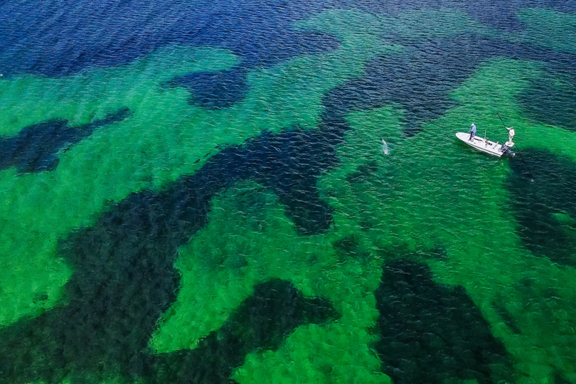 DJI 0025 1