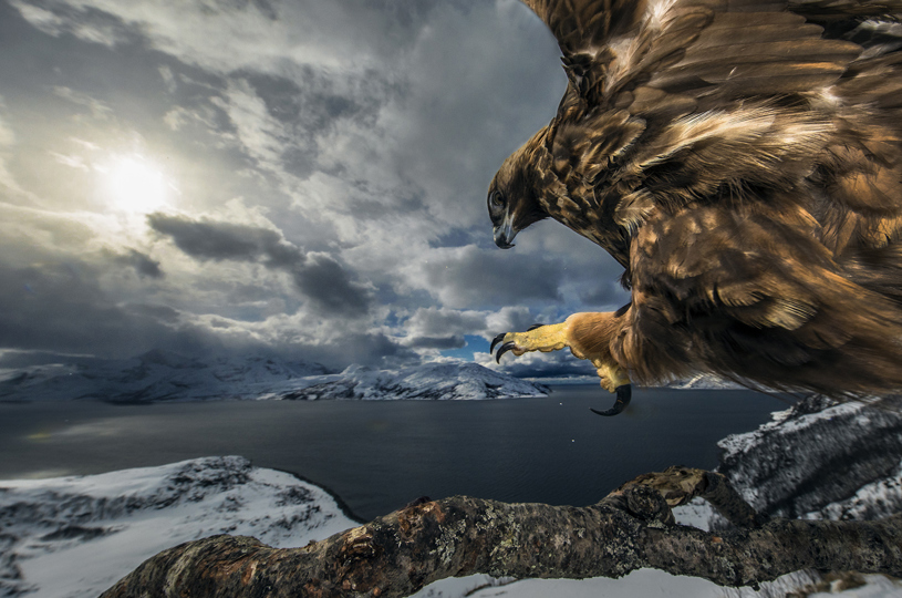 Land Of The Eagle 16 9 Audun Rikardsen