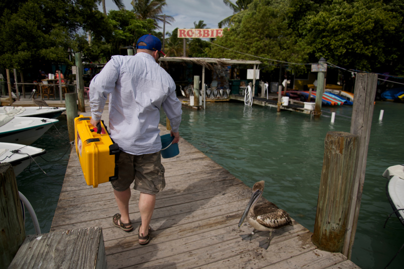 Florida0514 58358