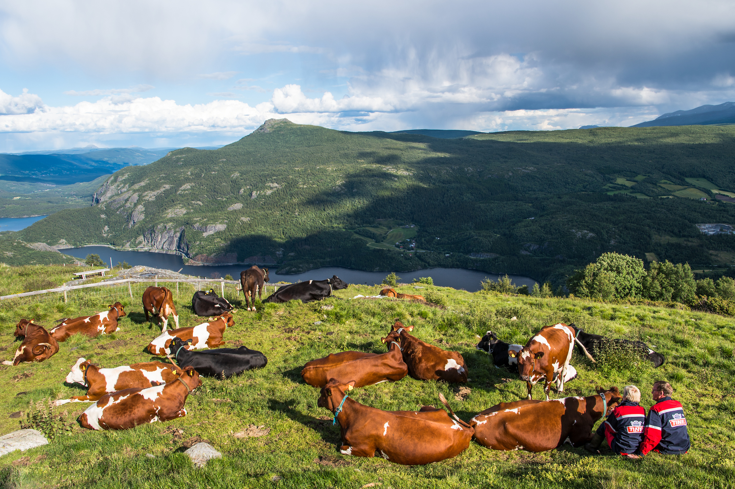 Scanout 05.07.16 107